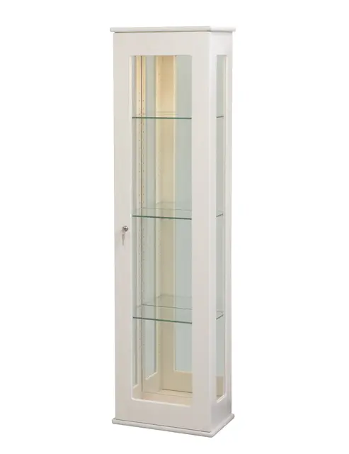 Utställningsmonter vägghängd B42 x D26 x H156 cm 