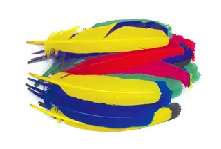 Indianfj&#228;drar L18 cm, 120 st