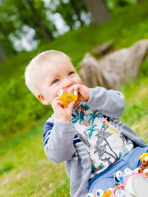 Viking Cute cars L8 cm, 18 st 