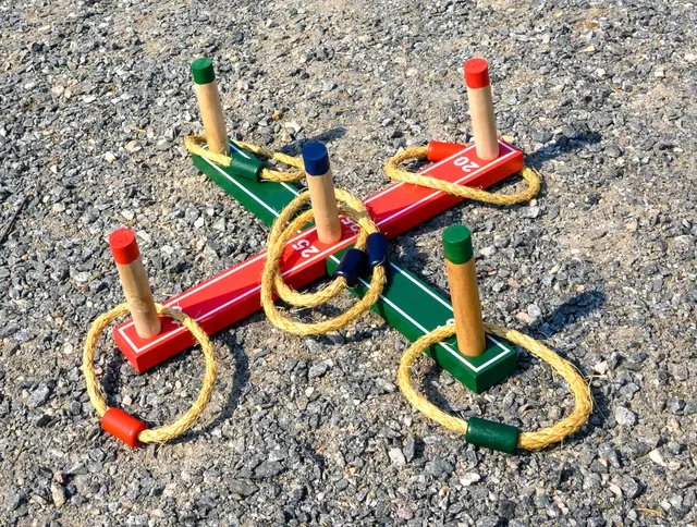 Ringkastspel Ø22 cm 
