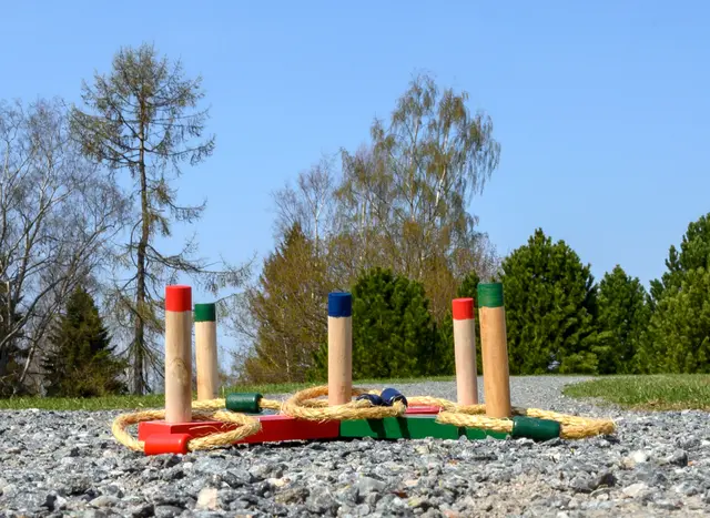 Ringkastspel Ø22 cm 