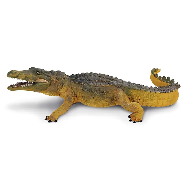 Exotiska djur krokodil 