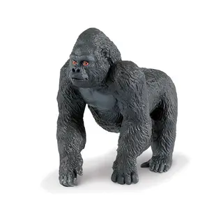 Exotiska djur gorilla Vuxen