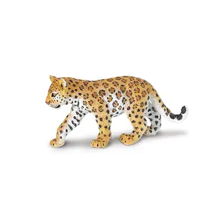 Exotiska djur leopard Baby