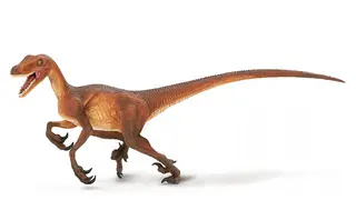 Dinosaurie Velociraptor