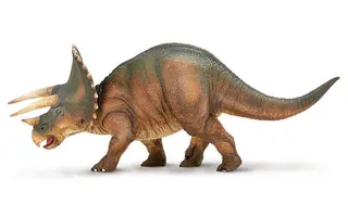 Dinosaurie Triceratops