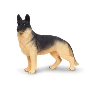 Hund sch&#228;fer Vuxen