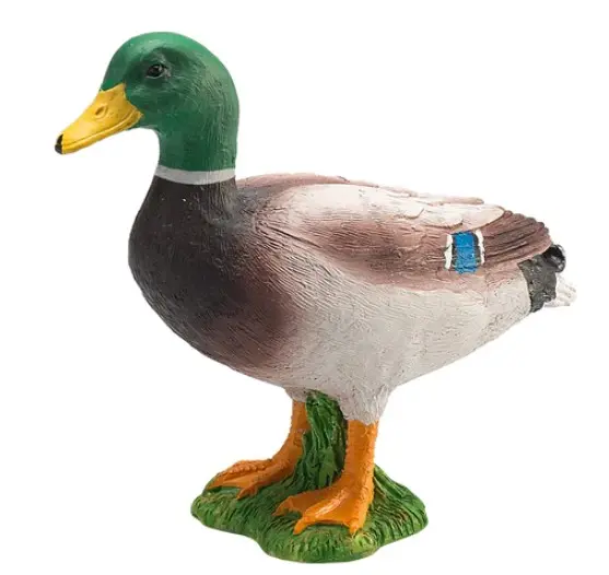 Bondgårdsdjur anka 