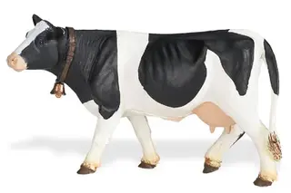Bondg&#229;rdsdjur ko