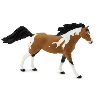 H&#228;st american paint stallion