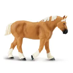 H&#228;st belgian dranft stallion