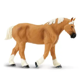 H&#228;st belgian dranft stallion