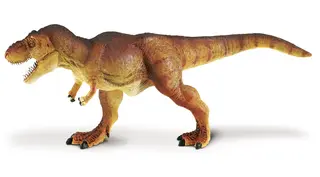 Dinosaurie Tyrannosaurus rex