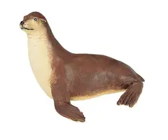 Havsdjur sj&#246;lejon