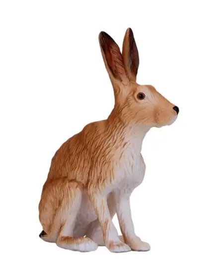 Nordiska djur hare 