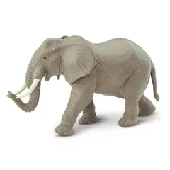 Exotiska djur elefant Vuxen