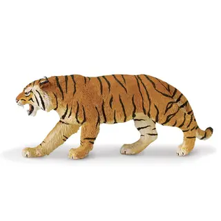 Exotiska djur tiger Vuxen