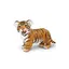 Exotiska djur tiger Baby