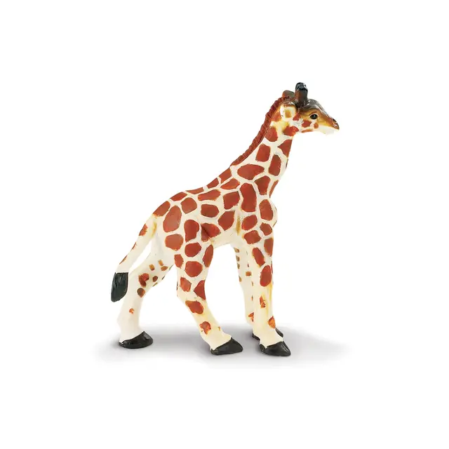 Exotiska djur giraff Baby 
