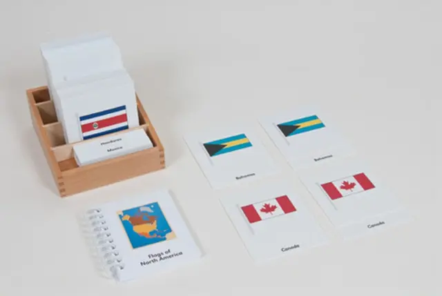 Flags Of North America 